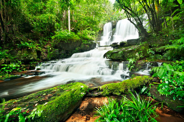 istock waterfall in thai national park. In the deep forest on mountain. 927983610
