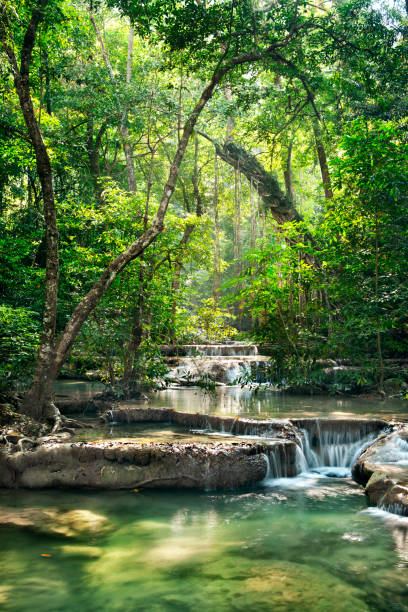 cascade dans le parc national d'erawan, kanchanaburi, thaïlande - national park kanchanaburi province thailand waterfall photos et images de collection