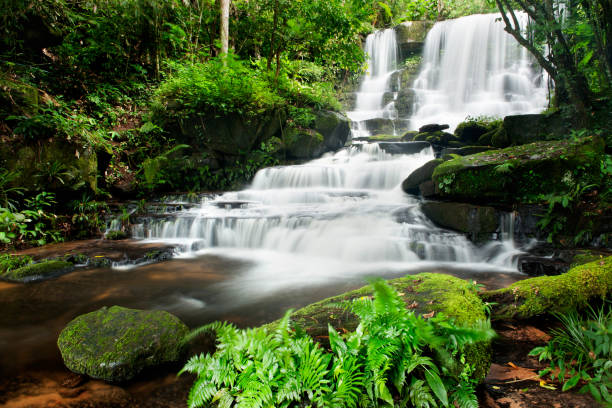 istock waterfall in thai national park. In the deep forest on mountain 927984148
