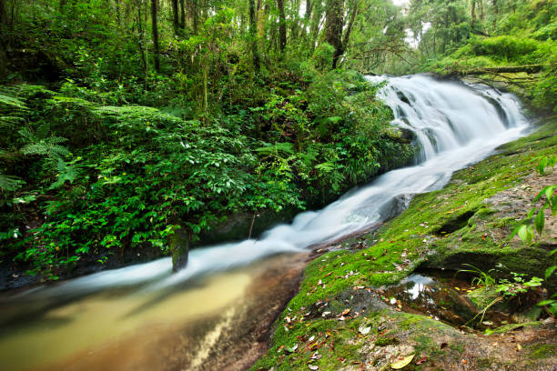 istock waterfall in thai national park. In the deep forest on mountain. 927985348