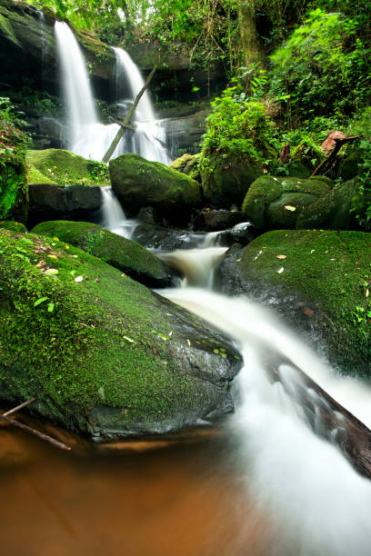 istock waterfall in thai national park. In the deep forest on mountain 927987508