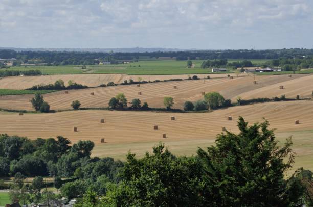 istock Rural landscape in the Layon 927987642