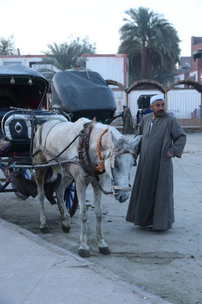 Edfu, Egypt - February, 2018: Coachmen waiting for tourists from visiting Edfu temple. A horse-drawn carriage in Edfu is a popular mode of transportation for tourists in the historic city.