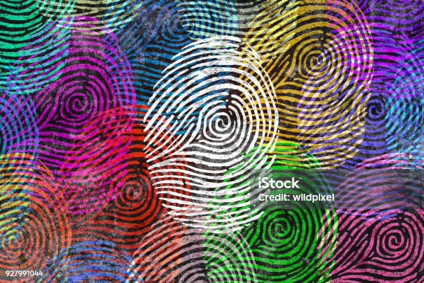 Diversity Identity Stock Photo - Download Image Now - Fingerprint, Individuality, Concepts