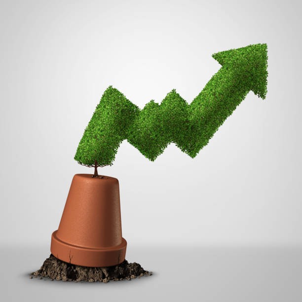 istock Turning A Failing Business Around 927991170