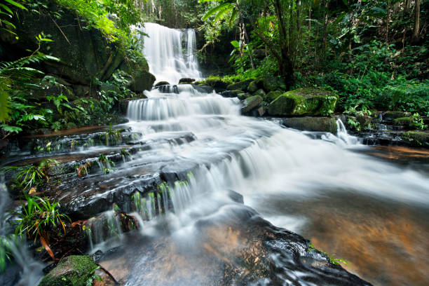 istock waterfall in thai national park. In the deep forest on mountain 927991434