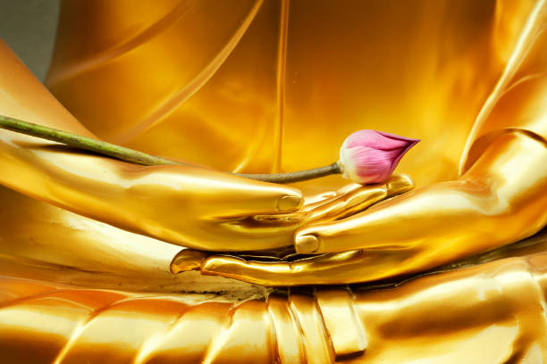 lotus à l’image de la main de bouddha - bouddha photos et images de collection