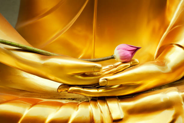 Lotus in hand image of buddha The lotus flower put on the hand of buddha meditation statue at thai temple. buddhist house of worship stock pictures, royalty-free photos & images