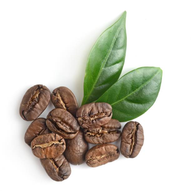 istock top view on the coffe beans with leaves on white 928001980