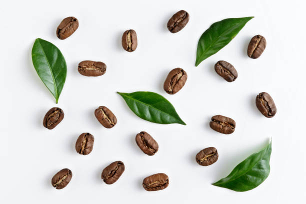 istock top view on the coffe beans with leaves on white 928002056
