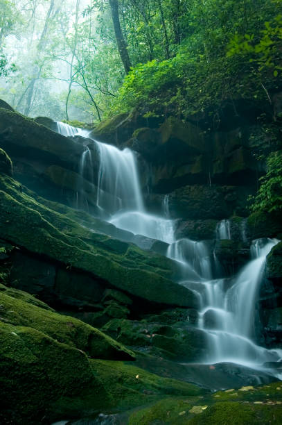 istock Waterfall on the mountain in thai national park 928002502