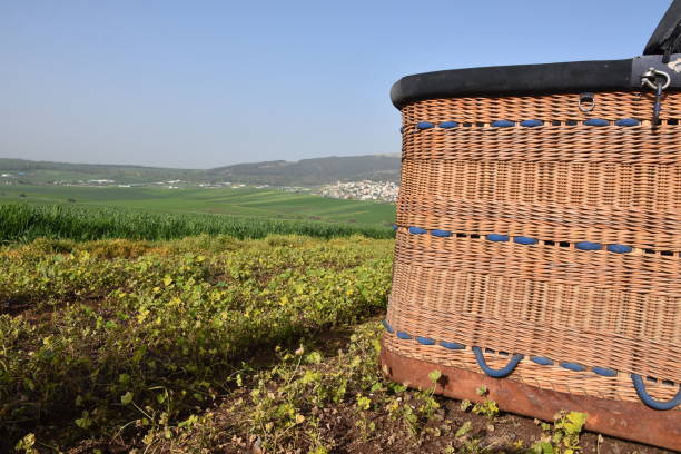 Straw basket produced by Xavante Indians of central-western Brazil