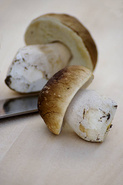 istock Porcini mushrooms on a white background 92800700