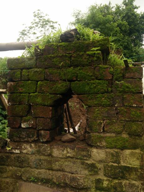 istock Ruins of old house 928008852