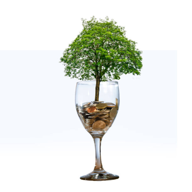 istock tree Coin glass Isolate hand Coin tree The tree grows on the pile. Saving money for the future. Investment Ideas and Business Growth 928009438