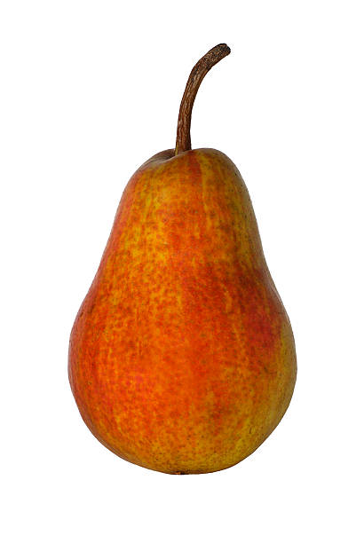 bartlett pear stock photo