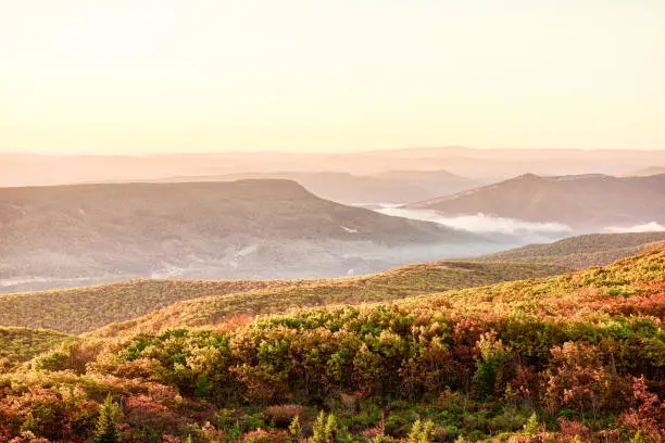 Photo of Morning pink warm yellow sunrise with sky and golden orange autumn foliage in Dolly Sods, Bear Rocks, West Virginia with overlook of mountain valley, fog, mist