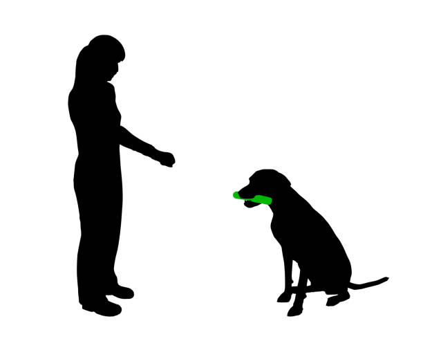 illustrazioni stock, clip art, cartoni animati e icone di tendenza di addestramento del cane (obbedienza): presa di comando - pointer stick illustrations