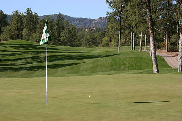 istock Nice golf shot with ball close to pin 92802327
