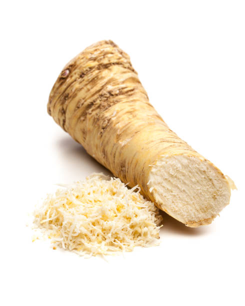 Horseradish root and grated horseradishh stock photo