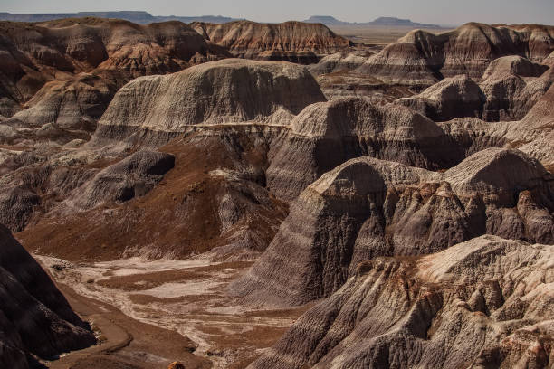 istock Petrified Forest National Park, Arizona USA 928028604