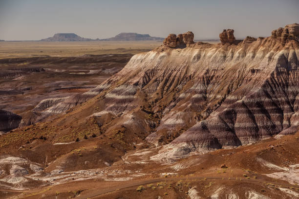 istock Petrified Forest National Park, Arizona USA 928028620