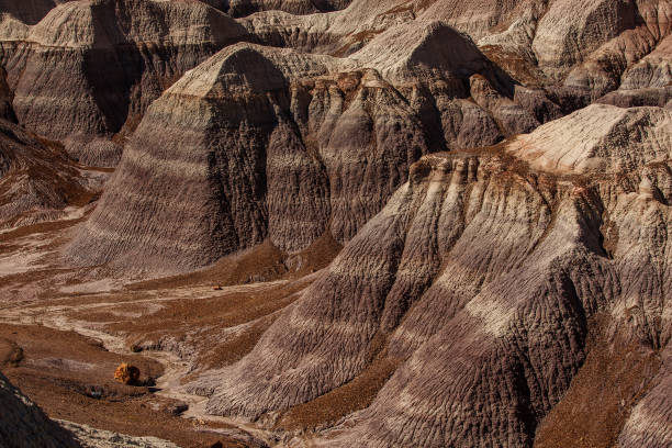 istock Petrified Forest National Park, Arizona USA 928028640