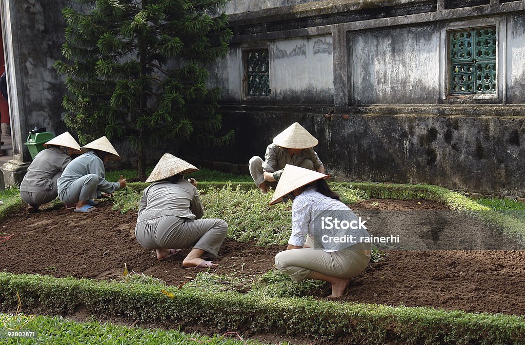 Vietnamita gardener - Royalty-free Adulto Foto de stock