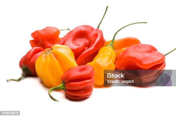 Several Habanero Chilis On A Pile Stock Photo - Download Image Now - Habanero, Cut Out, Bell Pepper