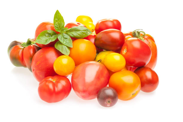 istock Different kinds of tomato on white background 928029002