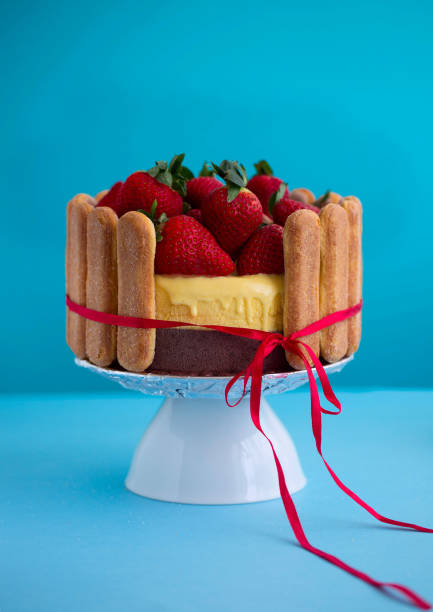 Banana chocolate semifreddo with ladyfingers cookies and strawberries Banana chocolate semifreddo with ladyfingers cookies and strawberries yogurt fruit biscotti berry fruit stock pictures, royalty-free photos & images