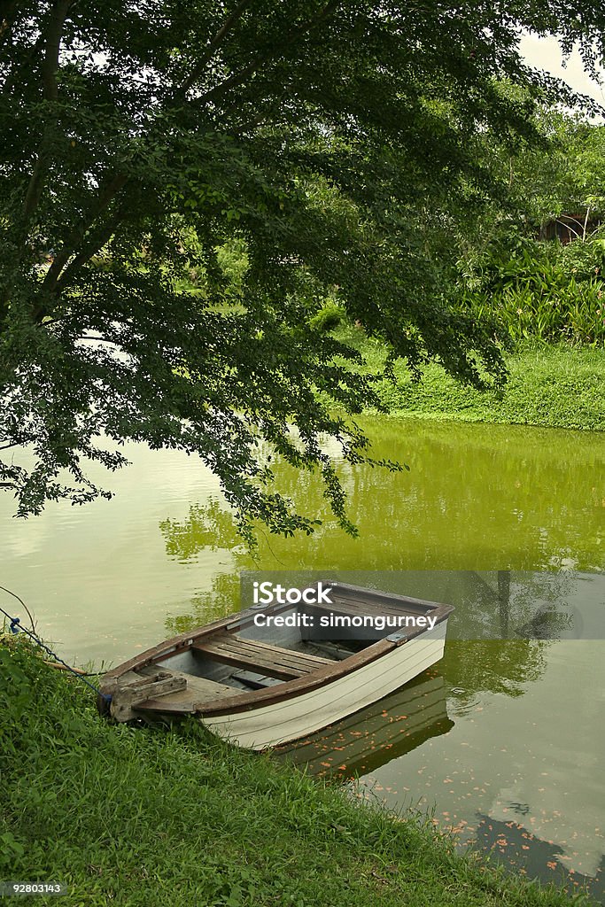 Barca a remi sotto albero Verde riva del fiume - Foto stock royalty-free di Acqua
