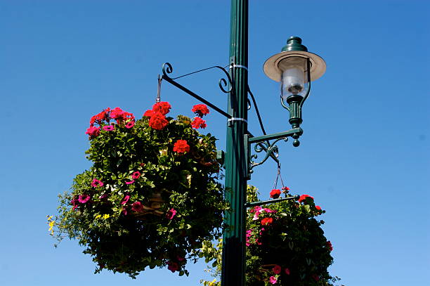 istock Street Lamp and Hanging Basket 92803268