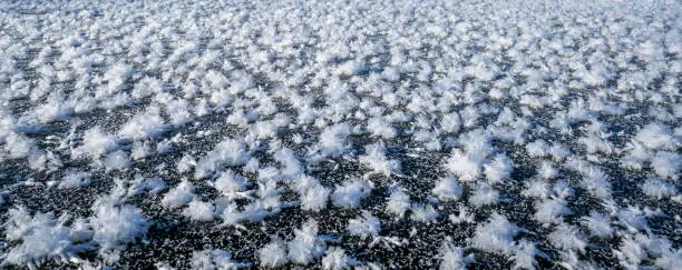 panorama of ice crystals on a frozen lake in northern Colorado