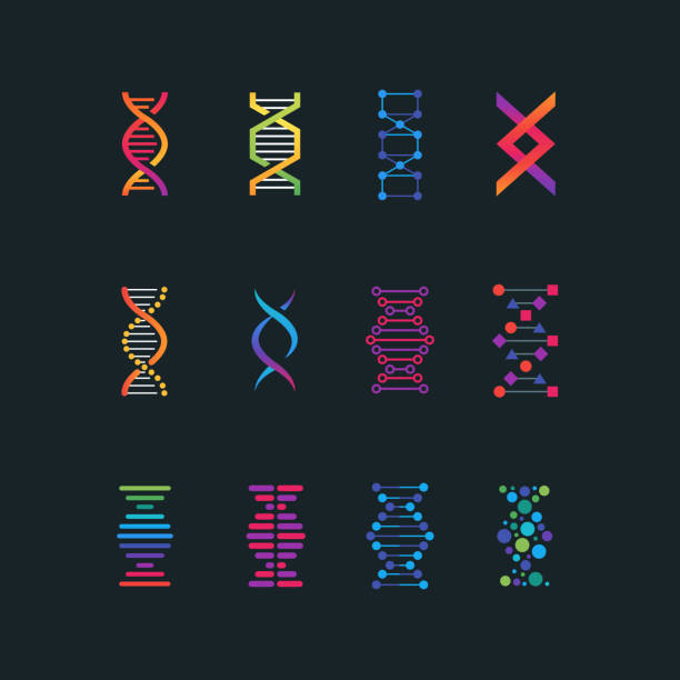 인간의 dna 연구 기술 기호입니다. 나선형 분자 의학 바이오 기술 벡터 아이콘 - helix stock illustrations