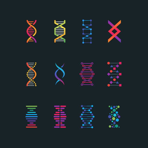 Human dna research technology symbols. Spiral molecule medical bio tech vector icons Human dna research technology symbols. Spiral molecule medical bio tech vector icons. Research chemistry and medicine, helix genetic genome illustration genetic makeup stock illustrations