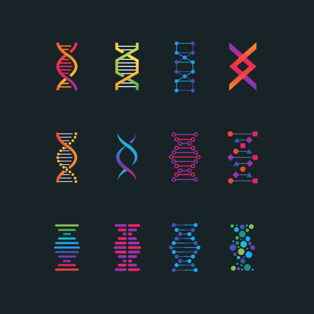 Human dna research technology symbols. Spiral molecule medical bio tech vector icons Human dna research technology symbols. Spiral molecule medical bio tech vector icons. Research chemistry and medicine, helix genetic genome illustration helix stock illustrations