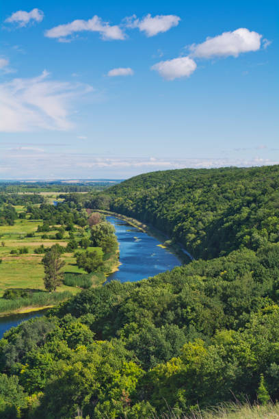 istock Landscape with forest and river.Summer.July.Vertical frame. 928036496