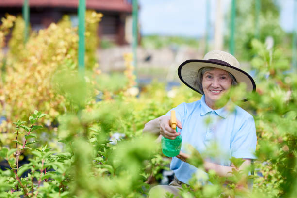 istock Happy Senior Woman Working in Garden 928040716