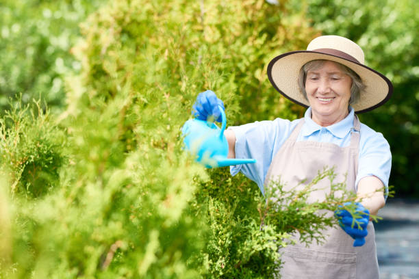 istock Happy Old Woman Watering Plants 928040790