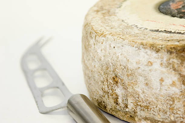 istock Gourmet Festival 92804419