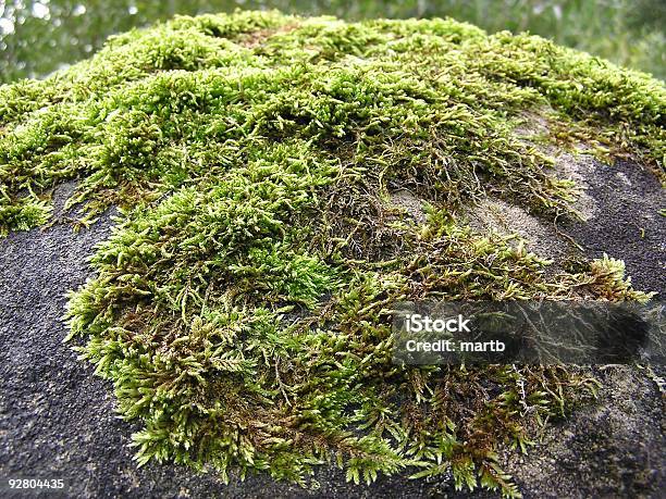 Moss Auf Rock Stockfoto und mehr Bilder von Alterungsprozess - Alterungsprozess, Ausbreiten, Bedecken