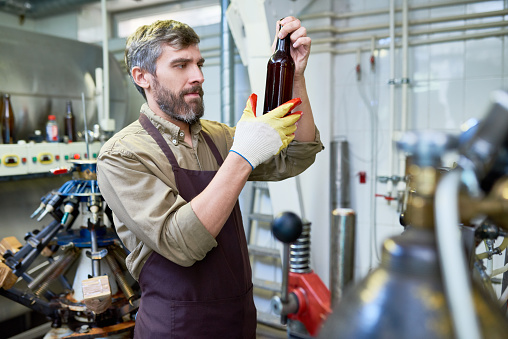 Hard-working middle-aged brewer wearing gloves and apron looking at beer bottle with concentration while carrying out inspection at brewery