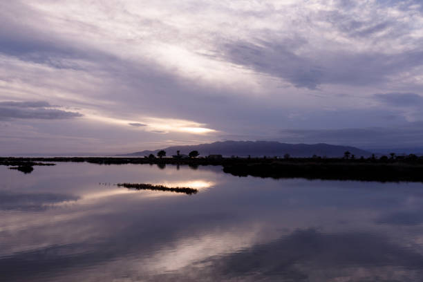 istock Delta del Ebro, Tarragona, Spain 928048714