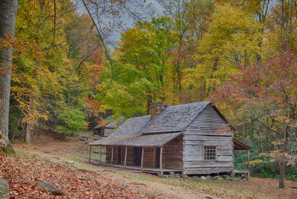 istock Log cabin home in the mountains 928049512