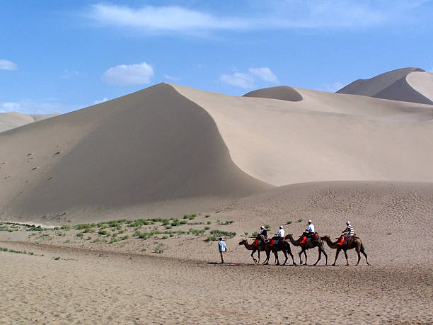 istock Camels in the Desert 92805204