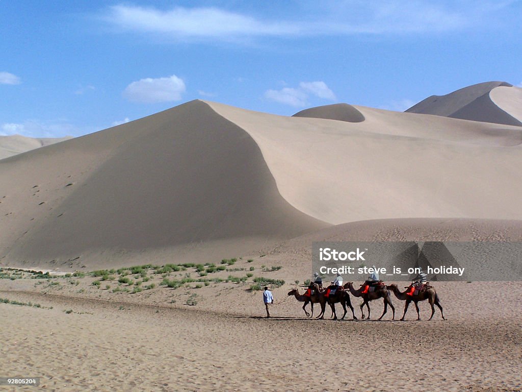 Camelos no deserto - Foto de stock de Deserto de Gobi royalty-free