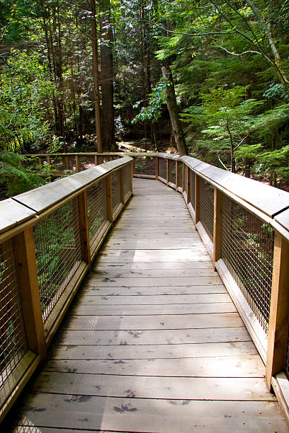 istock wooden walkway vanishing around a corner 92805801