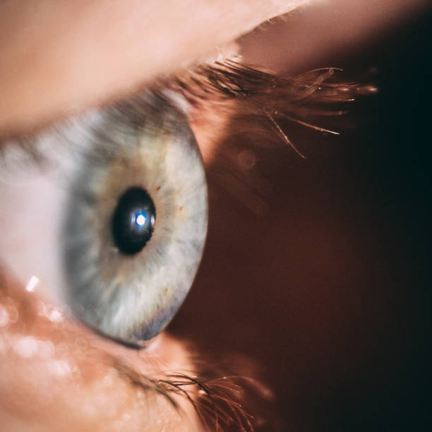istock enlarged image of an eye iris made with a slit lamp 928058470