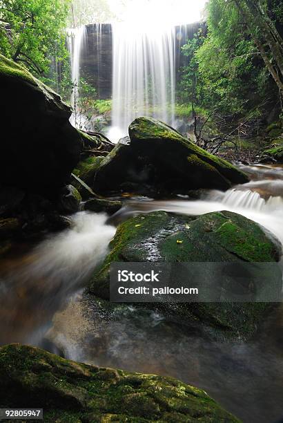 Foto de Cachoeira e mais fotos de stock de Caindo - Caindo, Cascata, Elegância